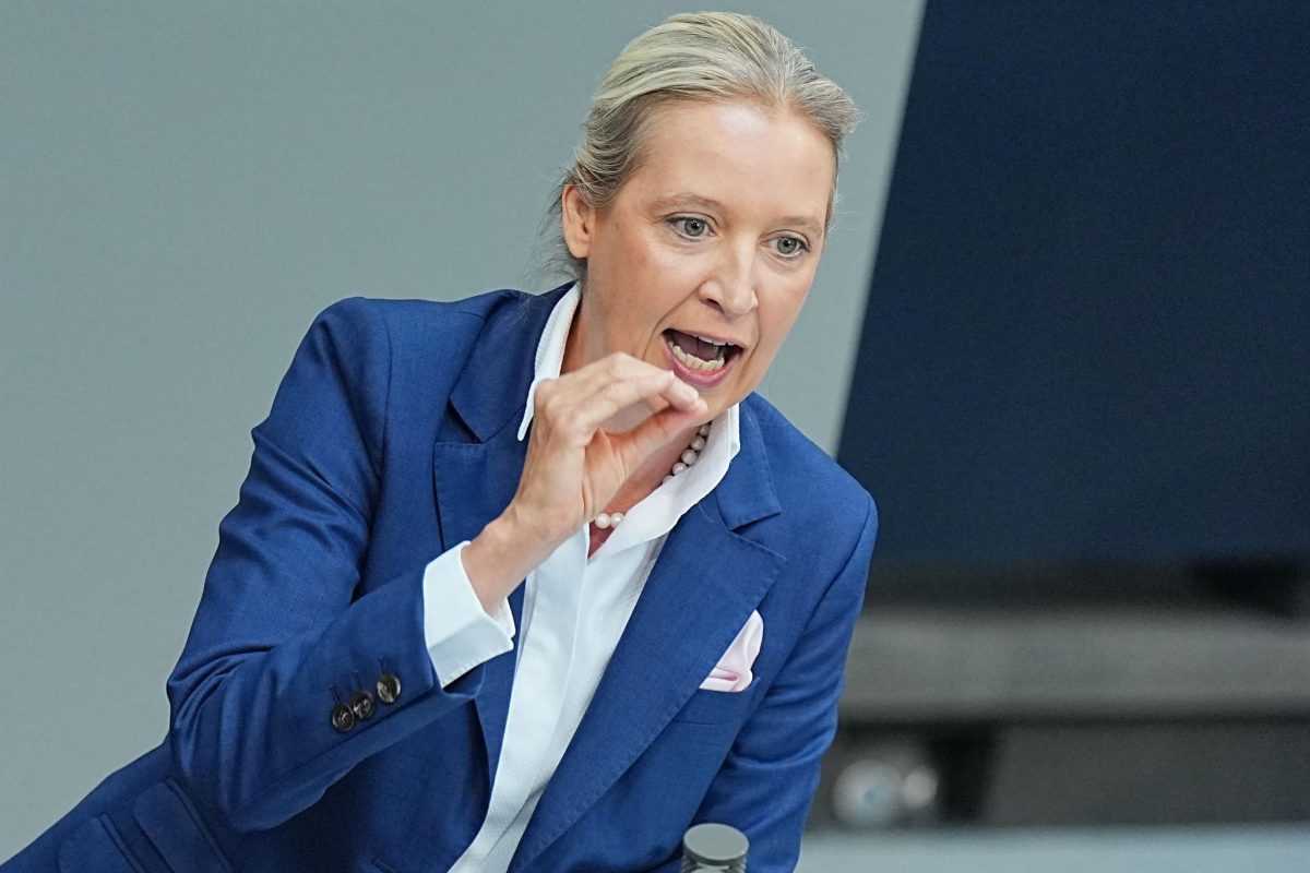 Alice Weidel / Foto: Michael Kappeler/dpa