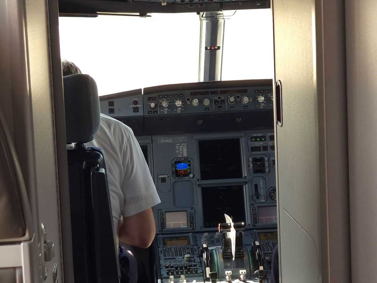 Pilot (ILUSTRACIJA) / Foto: Fenix (MD)