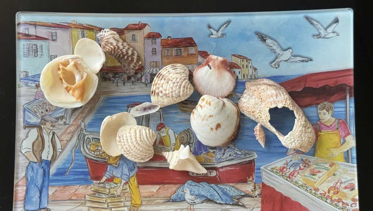 Školjke (ILUSTRACIJA) / Foto: Fenix (DP)